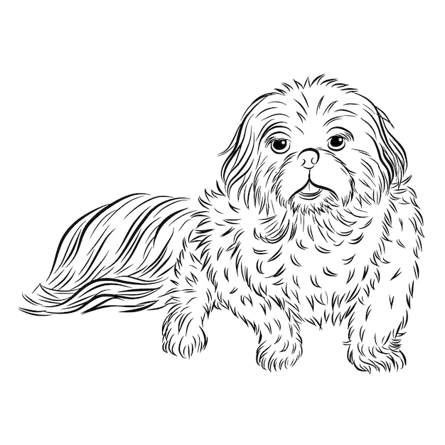 Premium Vector | Dog vector by hand drawing