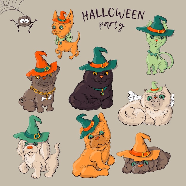 funny halloween hats