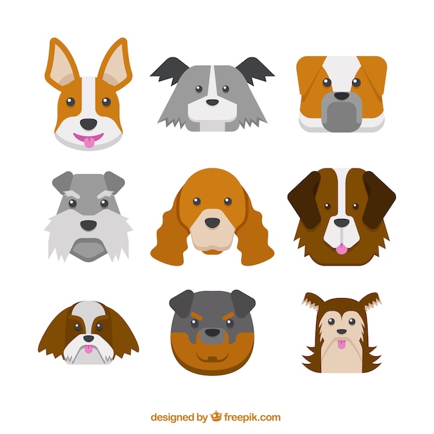Dogs of different breeds pack in flat\
design