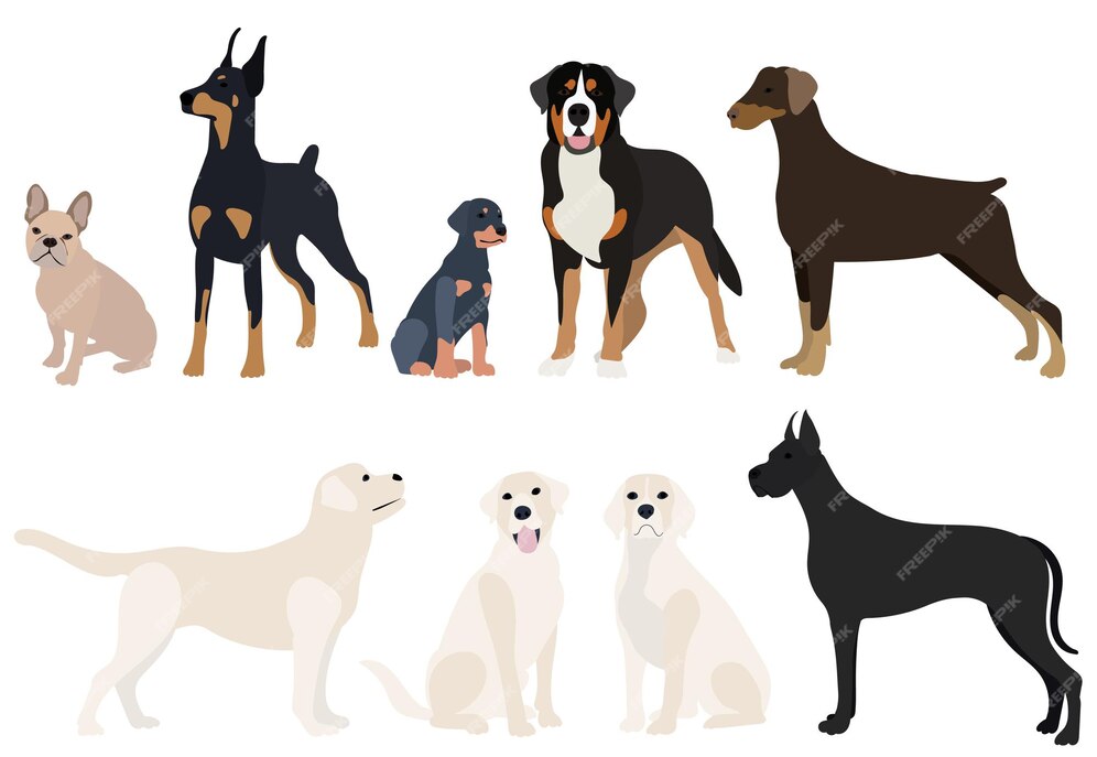 Premium Vector | Dogs set flat design on white background vector