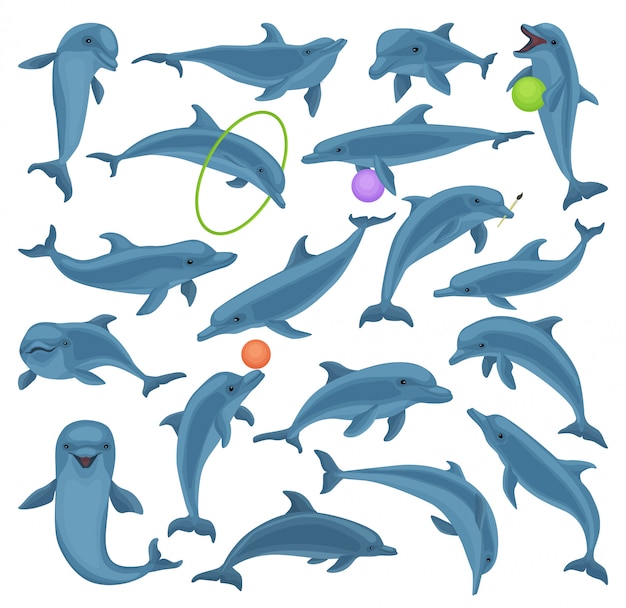 イルカ漫画は アイコンを設定します 白い背景の上の図の青い魚 孤立した漫画は イルカのアイコンを設定します プレミアムベクター