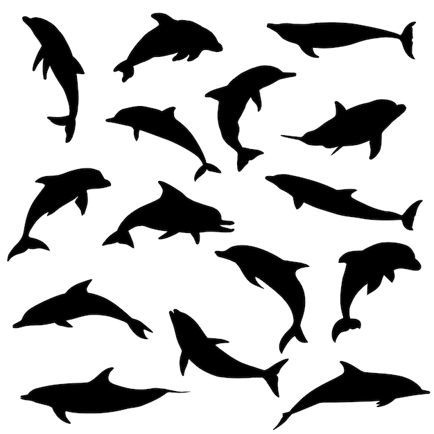 プレミアムベクター イルカ海の動物のシルエットクリップアートベクトル