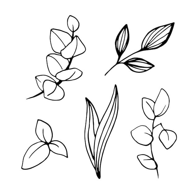 Premium Vector | Doodle set with flower elements in one line style