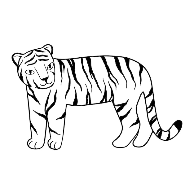 Premium Vector | Doodle tiger stands, hand-drawn. cute chinese tiger ...