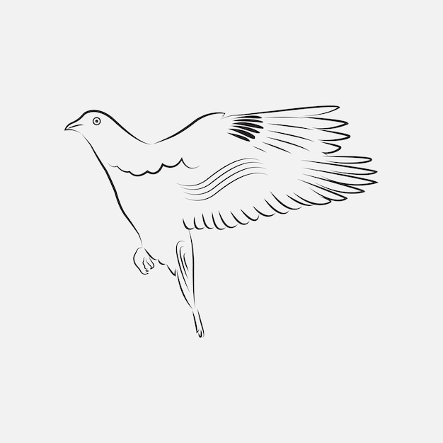 Premium Vector | Dove or pigeon line art