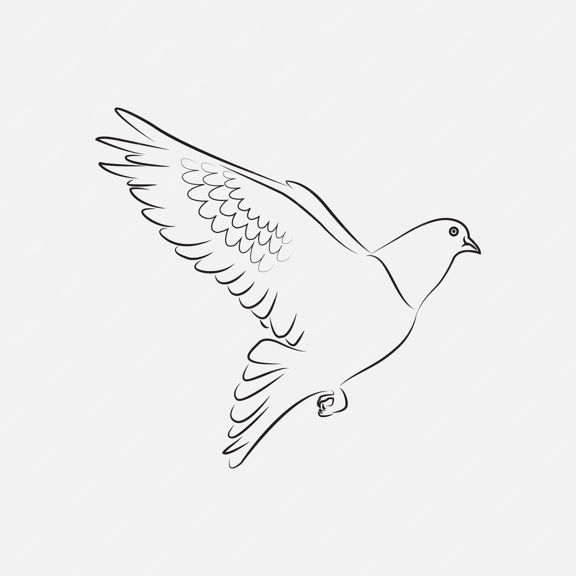 Premium Vector | Dove or pigeon line art