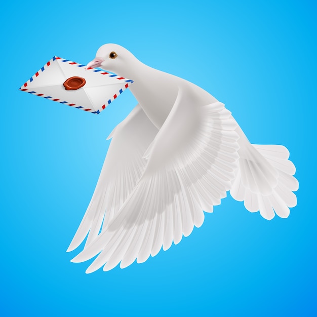 鳩の白いイラスト プレミアムベクター
