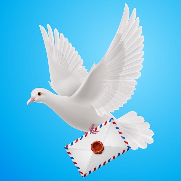 Premium Vector | Dove white