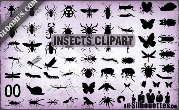 Download Free Vector Insects Silhouettes