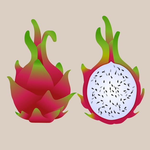 Download Premium Vector | Dragon fruit or pitaya exotic fruit