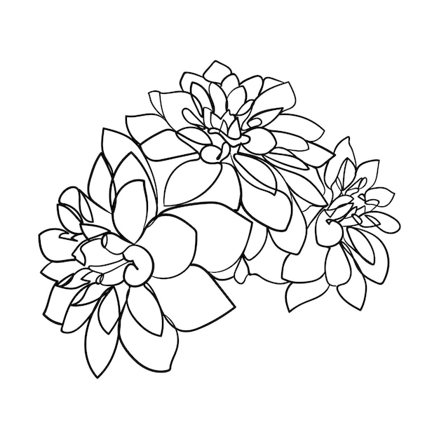 Premium Vector | Drawn outline dahlia flowers isolated on a white ...