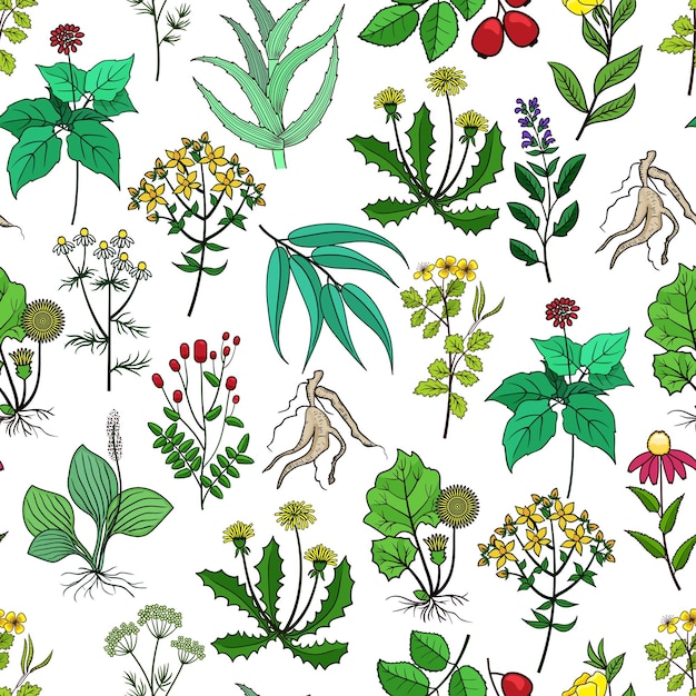 白の薬草と薬草の背景 薬用の緑のハーブのパターン 薬草イラスト用ハーブと花 無料のベクター