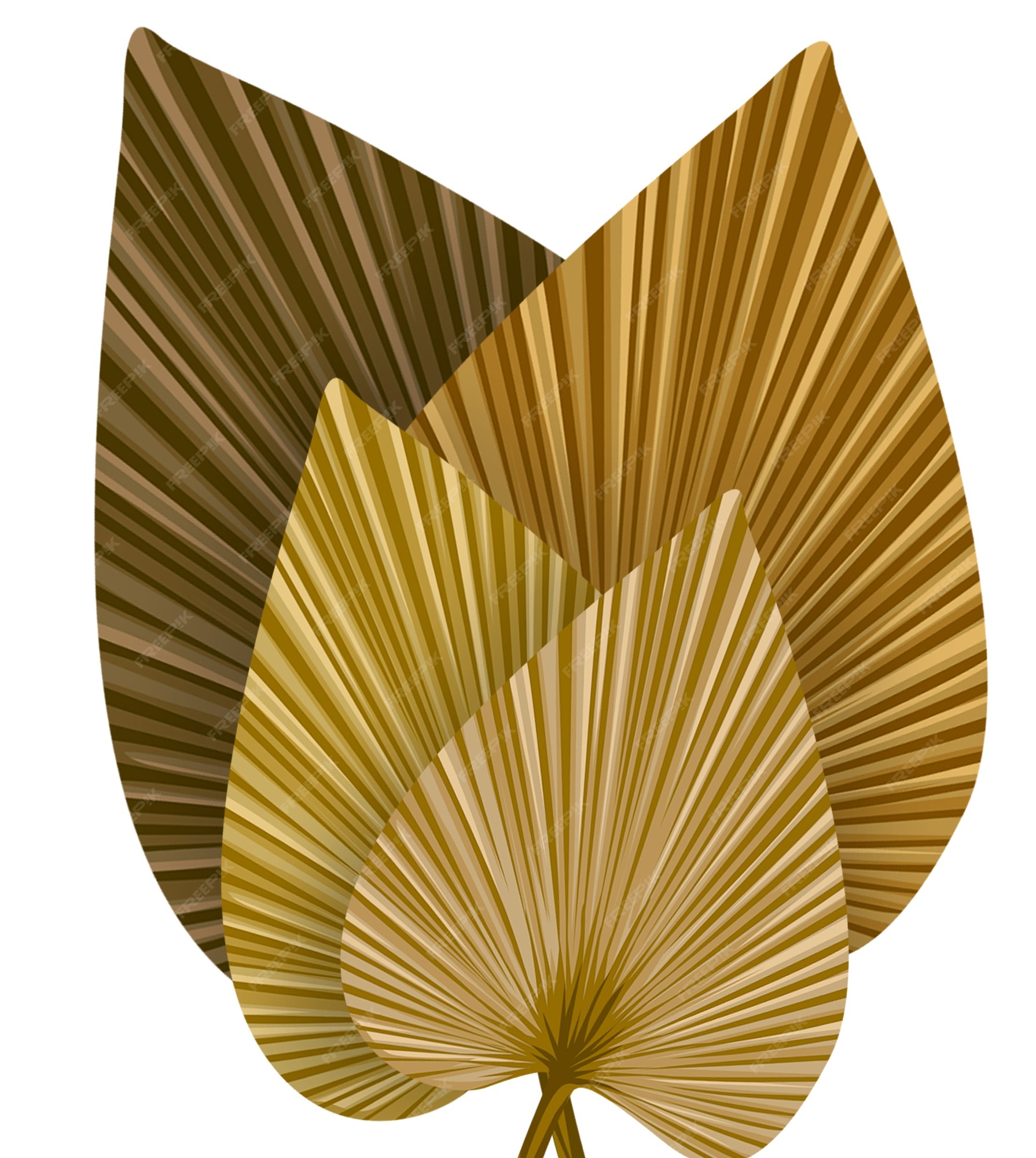 premium-vector-dry-palm-leaves