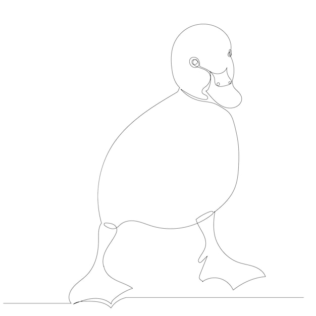 Premium Vector Duckling drawing by continuous line, sketch, vector