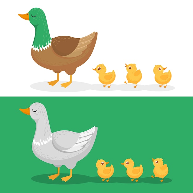 Premium Vector Ducklings And Mother Duck Ducks Family Duckling Following Mom And Walking Mallard Baby Chicks Group Cartoon