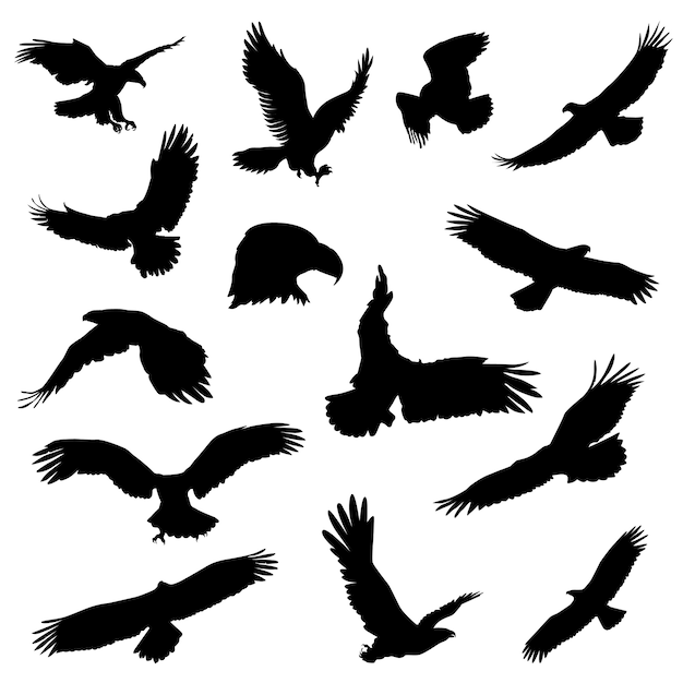 Download Free Eagle Animal Forest Silhouette Clip Art Scrapbook Vector Premium Use our free logo maker to create a logo and build your brand. Put your logo on business cards, promotional products, or your website for brand visibility.