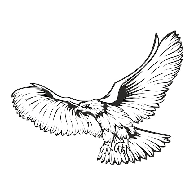 Premium Vector | Eagle black and white concept isolated on white