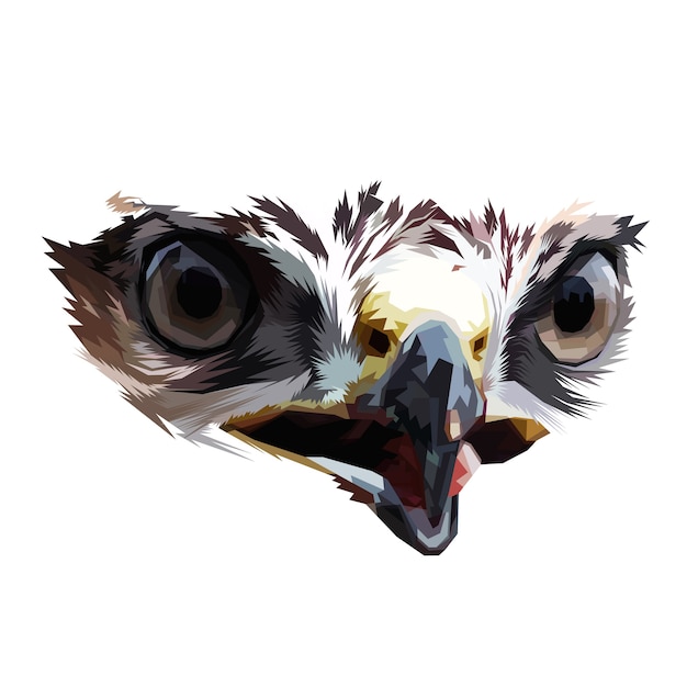 Eagle eye on isolated white background | Premium Vector