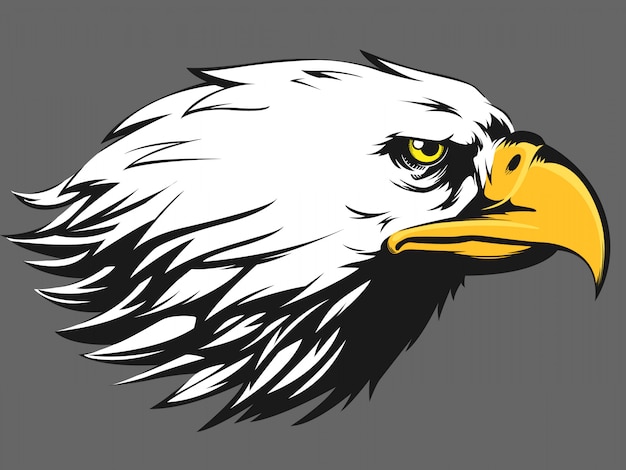 Download Free Eagle Face Images Free Vectors Stock Photos Psd Use our free logo maker to create a logo and build your brand. Put your logo on business cards, promotional products, or your website for brand visibility.