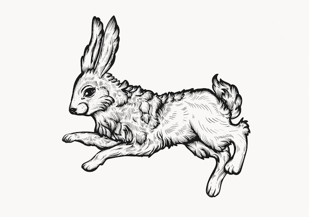 Download Easter bunny hand-drawn vintage linocut style clip art illustration. | Premium Vector