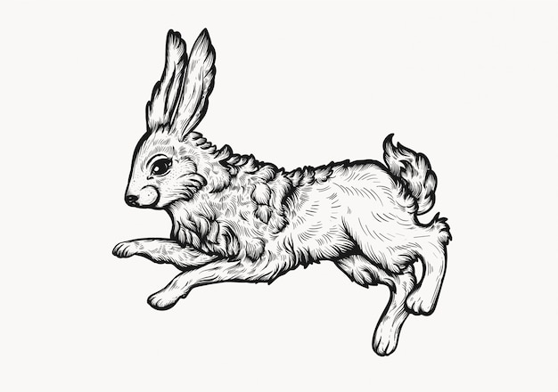 Free Free Vintage Bunny Svg 445 SVG PNG EPS DXF File