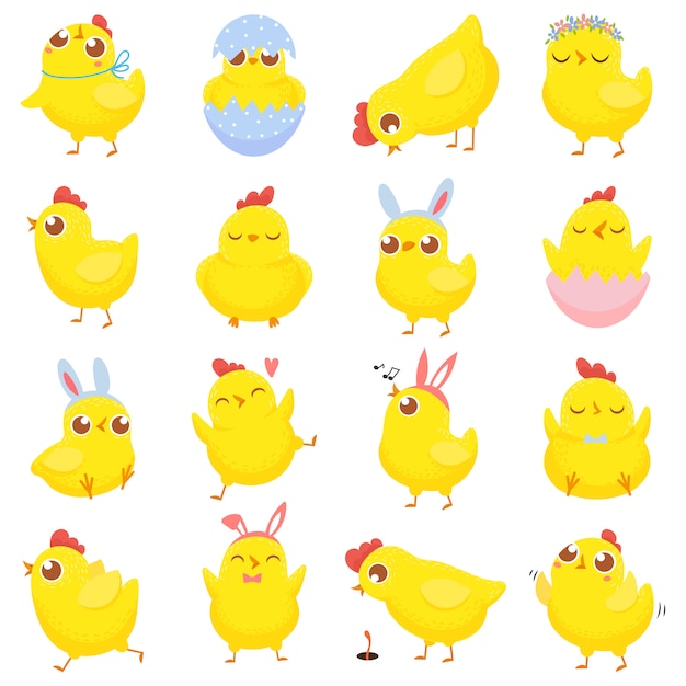 イースターのひよこ 春の赤ちゃん鶏 かわいい黄色のひよこ 面白い鶏分離漫画イラストセット プレミアムベクター
