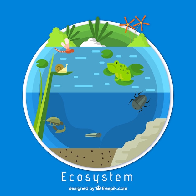 Free Vector Ecology And Ecosystem Concept 3680