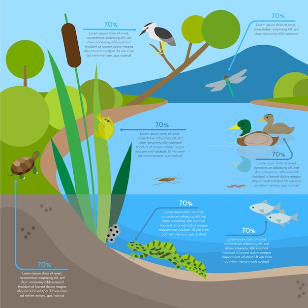 Free Vector | Ecosystem background infographic with animals in habitat