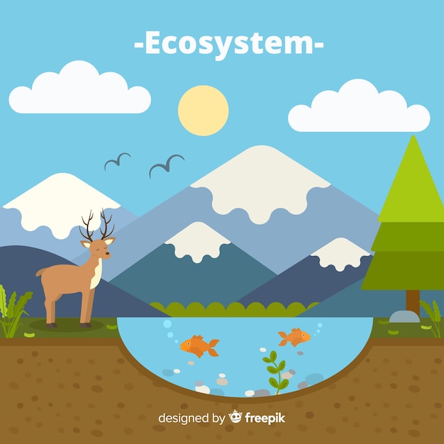 Forest Ecosystem Clip Art