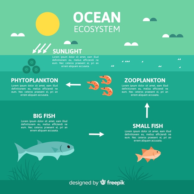 Free Vector | Ecosystem infographic concept