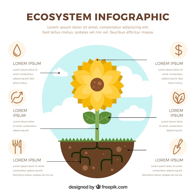 Free Vector | Ecosystem infographics