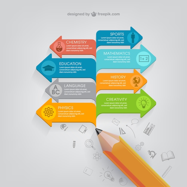 Education infographic template Vector Free Download