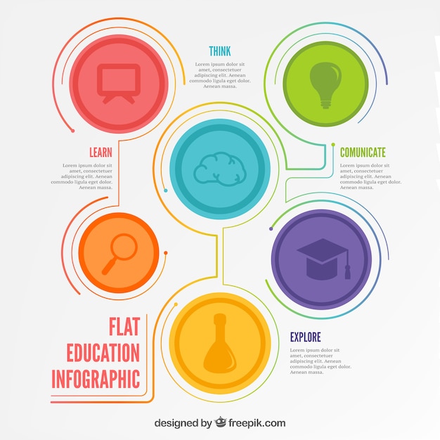 Education infography in flat design
