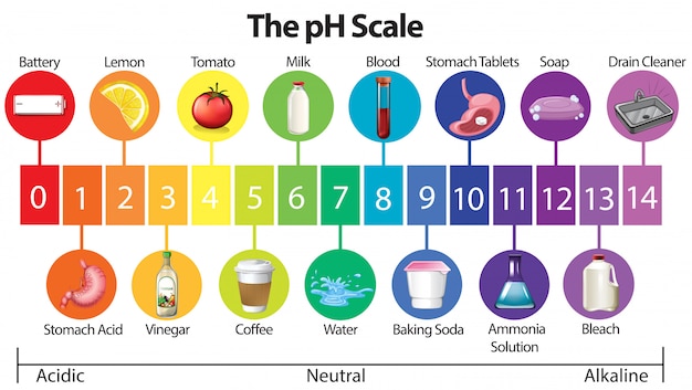 Free Vector | An education poster of ph scale