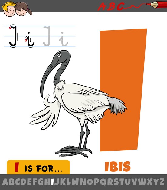 子供のためのイビス鳥動物のキャラクターとアルファベットからの文字iの教育漫画イラスト プレミアムベクター 子供のためのイビス鳥動物のキャラクターとアルファベットからの文字iの教育漫画イラスト プレミアムベクター