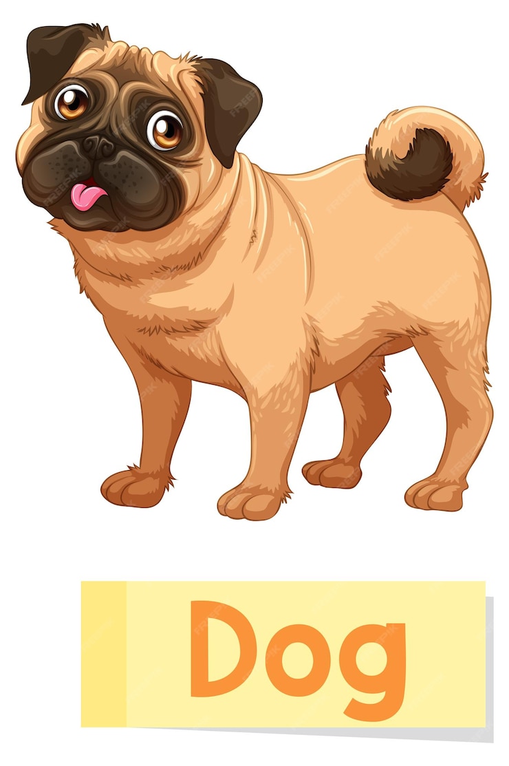 Free Vector | Educational english word card of dog