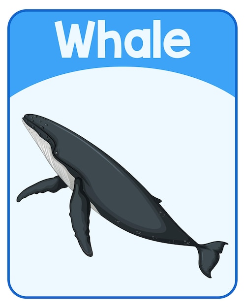 クジラの教育英語ワードカード 無料のベクター