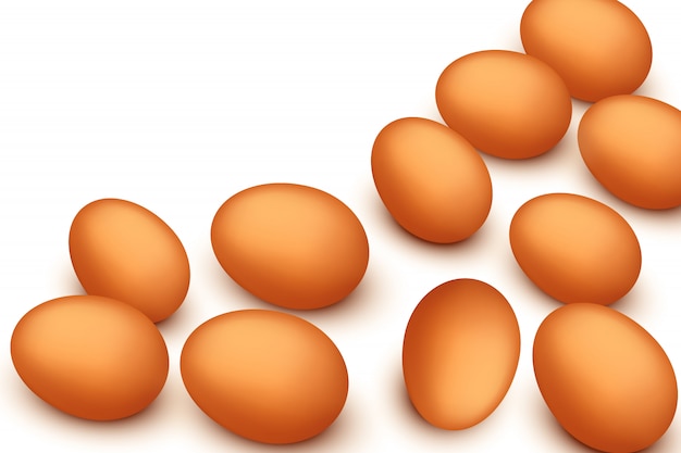 Яйца на белом | Премиум векторы