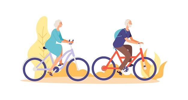 bicycles for the elderly