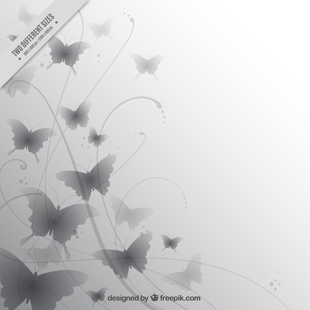 Free Vector | Elegant background of gray butterflies