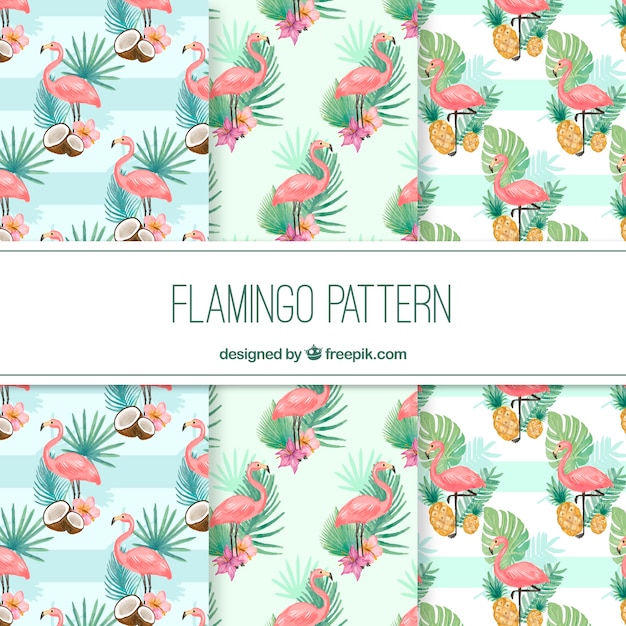 Elegant flamingo pattern Free Vector