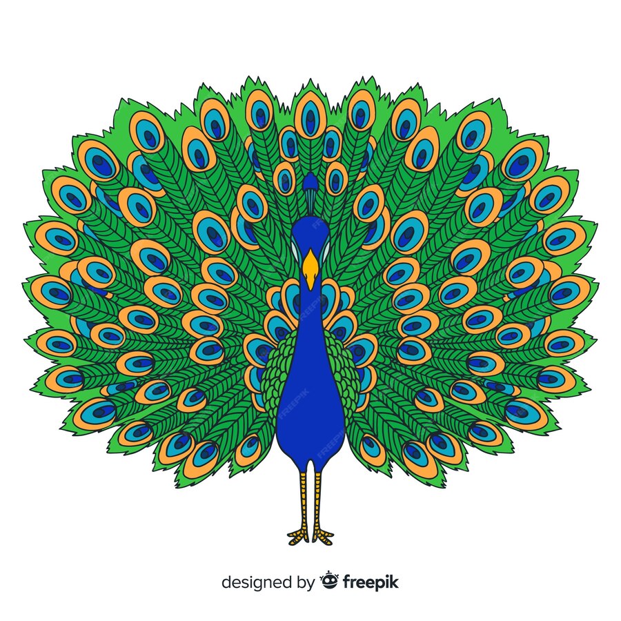 Free Vector Elegant Hand Drawn Peacock