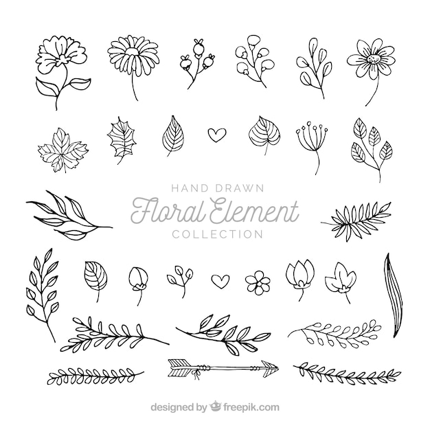 Free Vector | Elegant pack of hand drawn floral elements