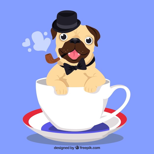 Elegant pug in a coffee cup