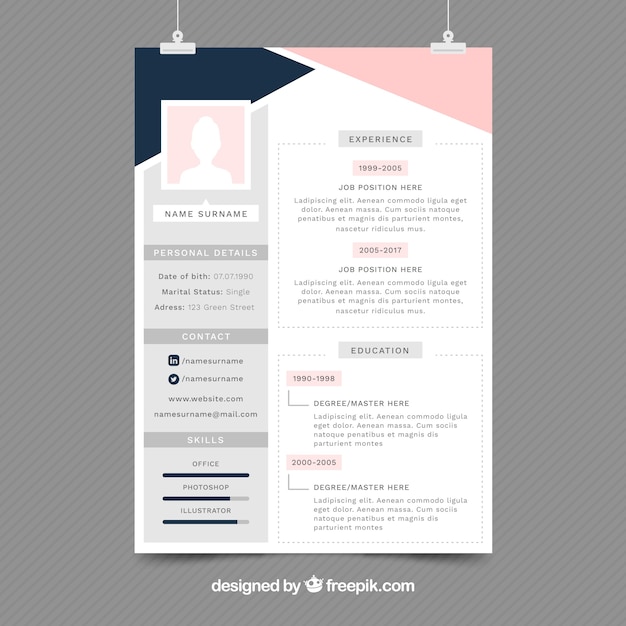 elegant resume template vector