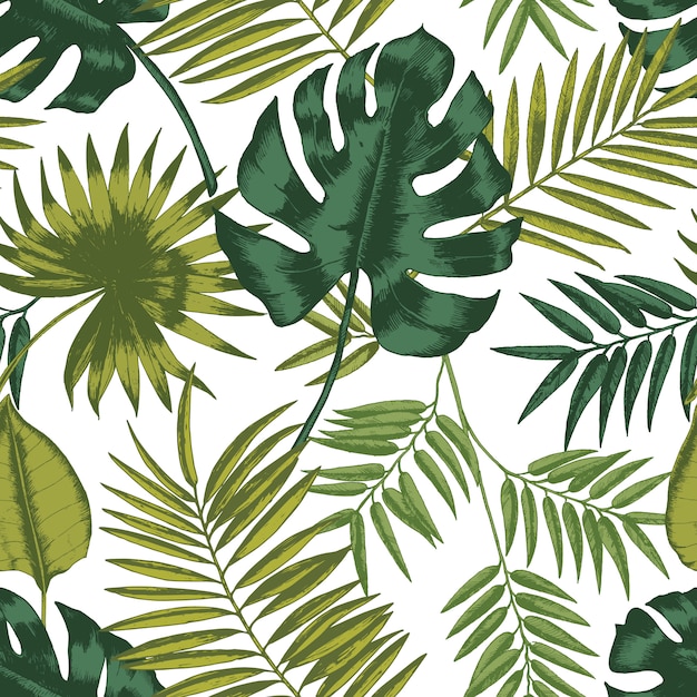 Premium Vector | Elegant seamless pattern with leaves of tropical ...