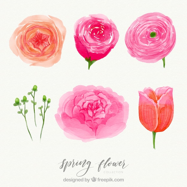 Elegant watercolor spring flower set