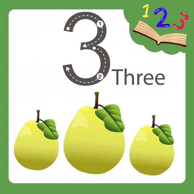 premium-vector-elements-of-three-number-quince