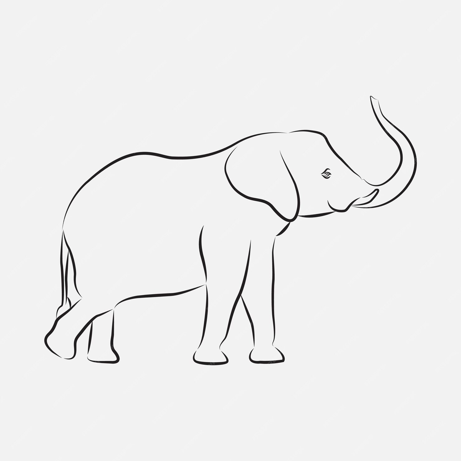 Premium Vector | Elephant line art vector template