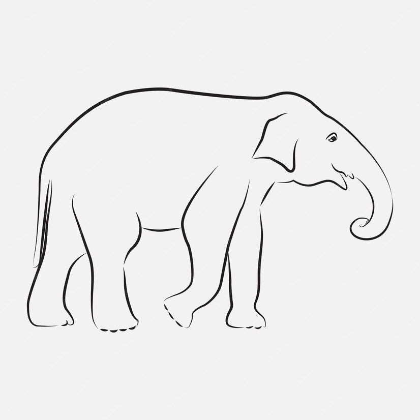 Premium Vector | Elephant line art vector template